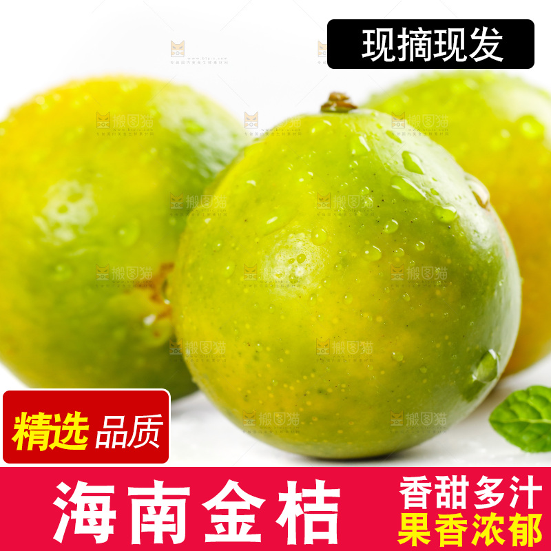 白底上放着金橘