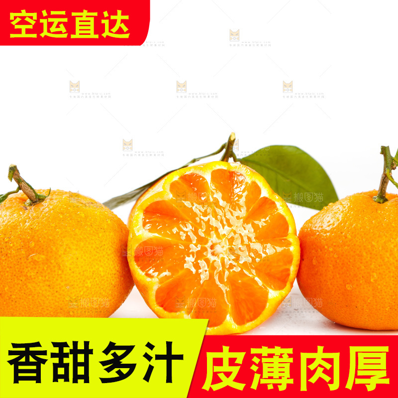 白底上摆放着蜜橘
