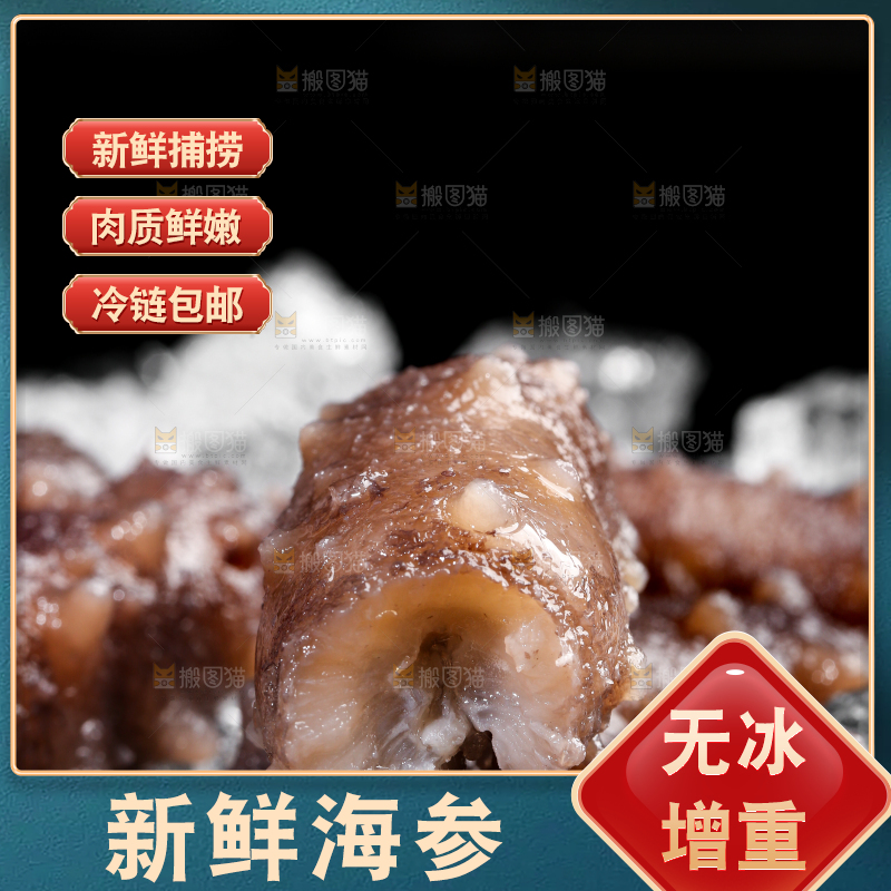 黑底上的冰镇海参