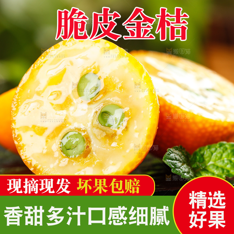 黑底上放着小金桔