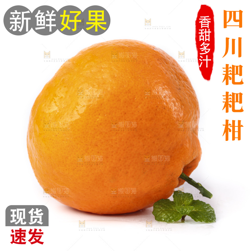白底上放着春见桔橙
