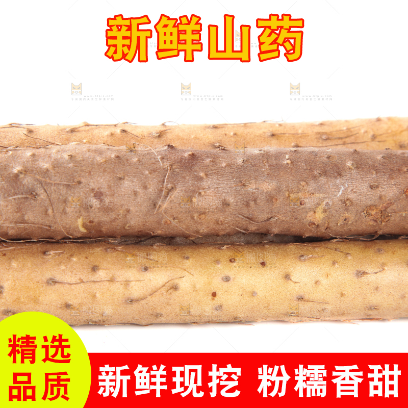 白底上摆放着山药
