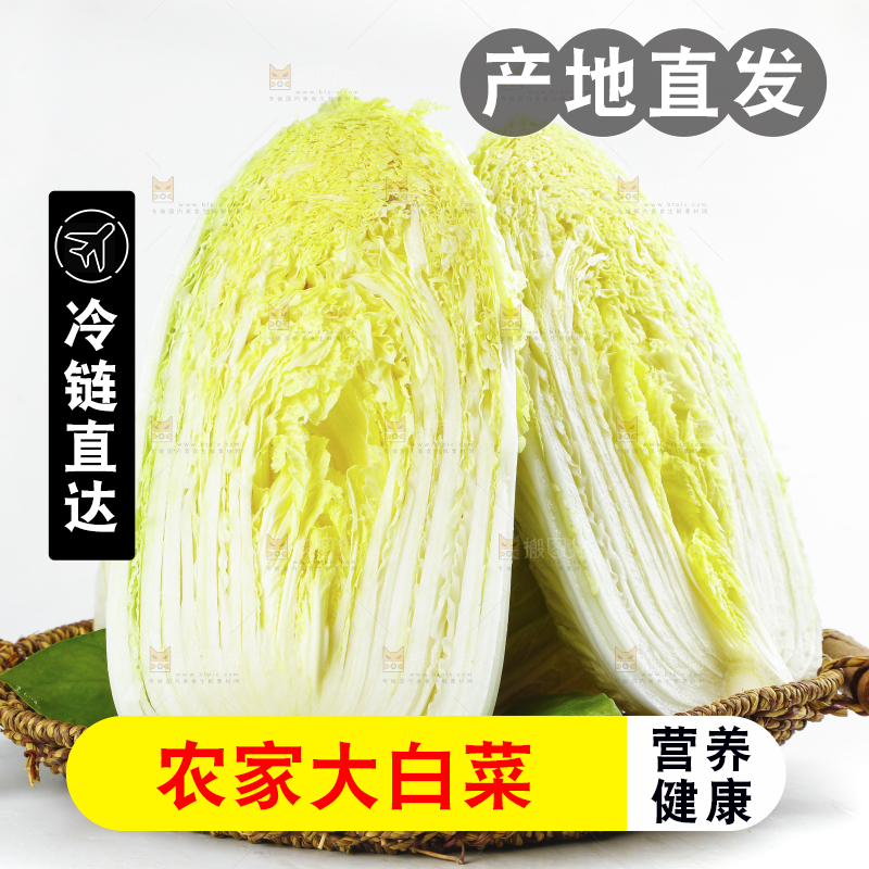 一篮大白菜放在白底上