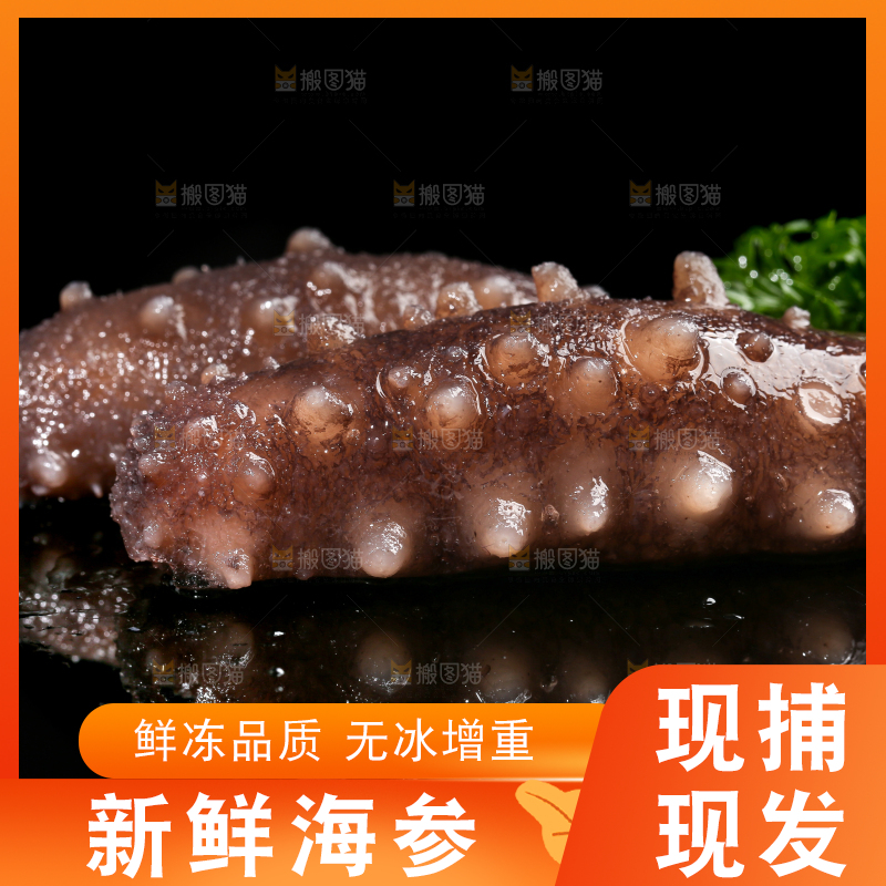 黑底上的海参