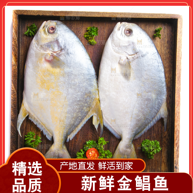 白底上放着野生金鲳鱼