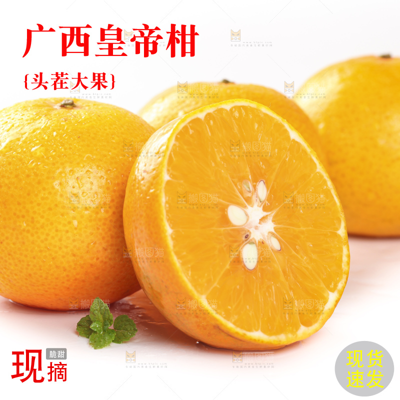 切开的皇帝贡柑放在白底上