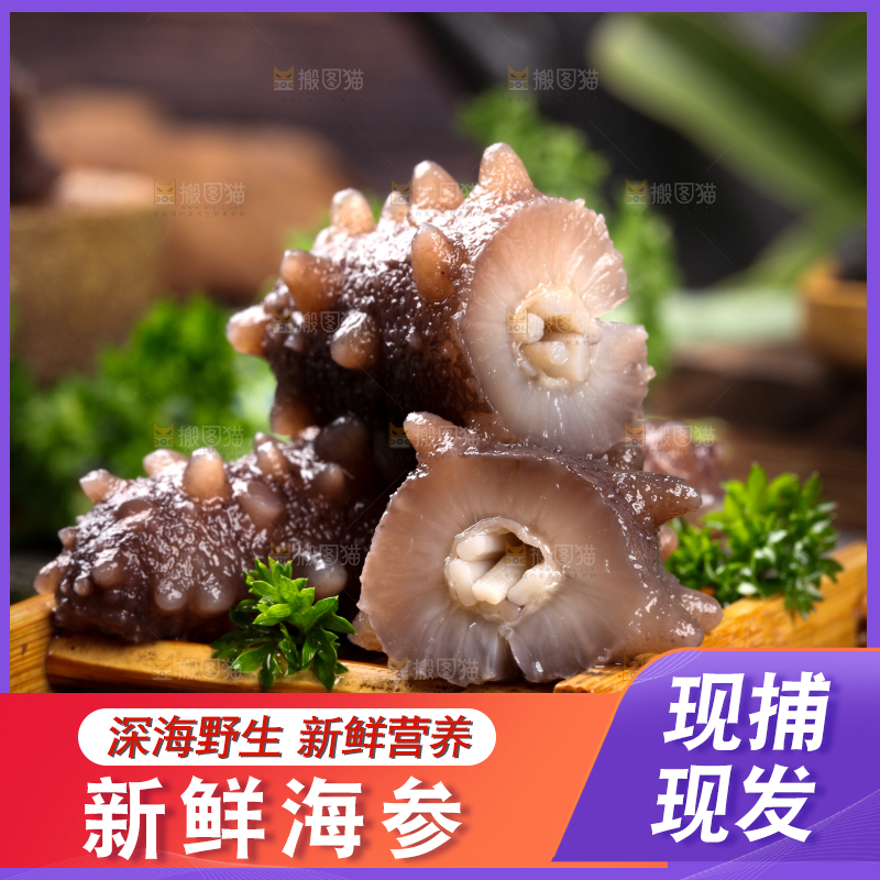 深底上的海参