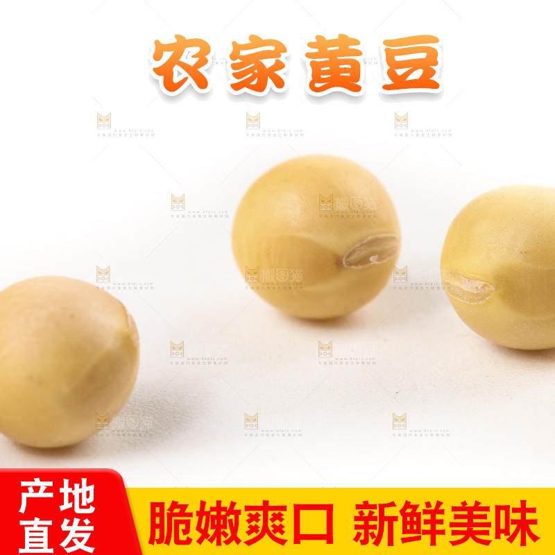 白底上的黄豆粒