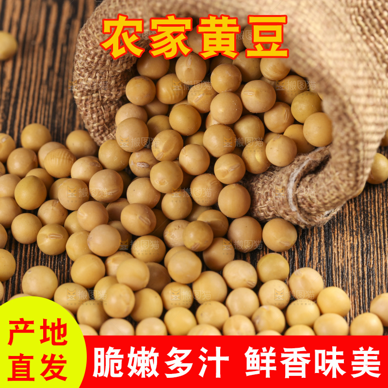 碟子里装着黄大豆