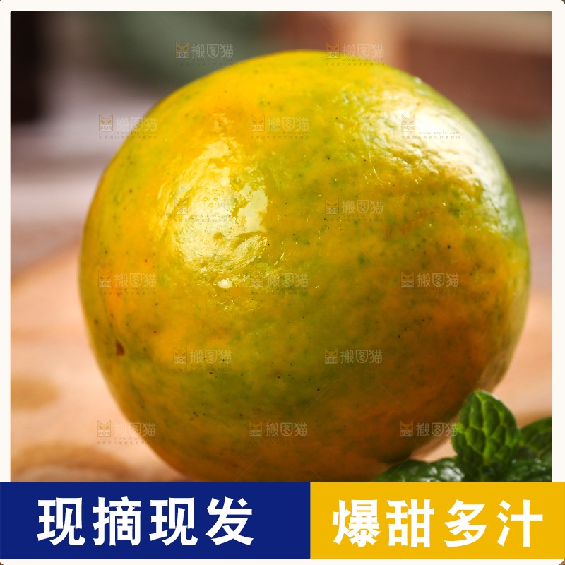 木底上摆放着金橘
