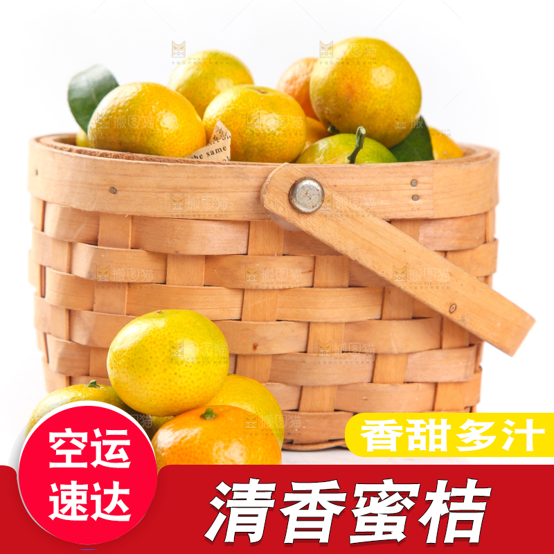 一筐清香蜜橘放在白底上
