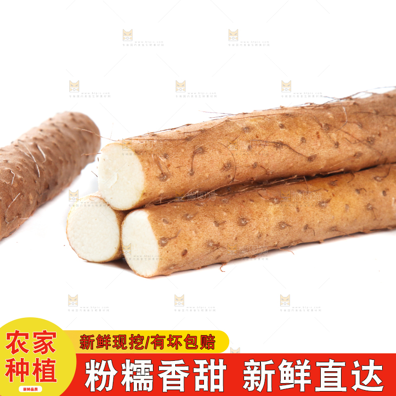 白底上摆放着山药