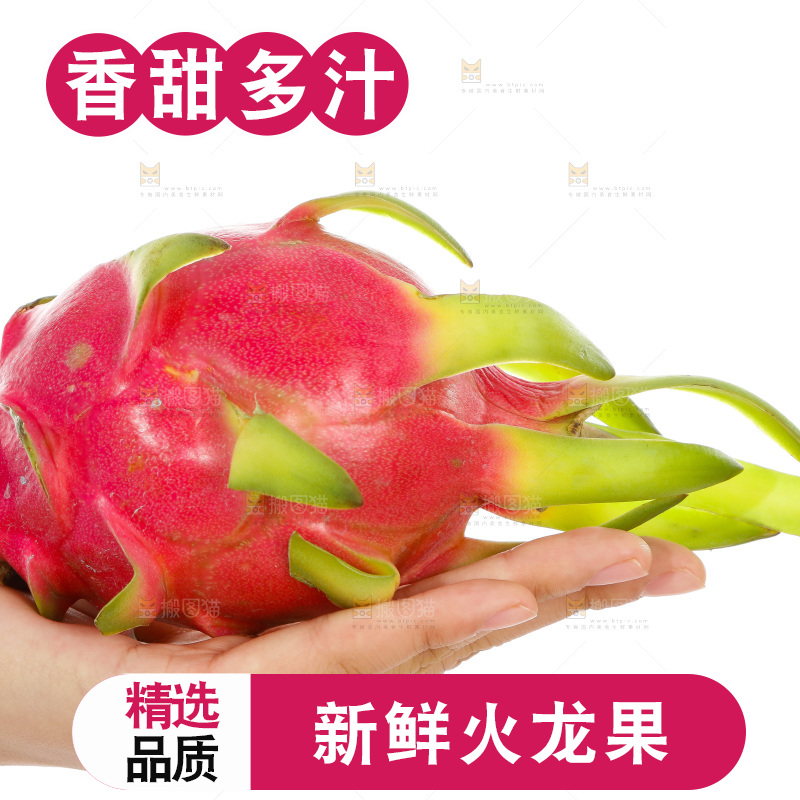 手里拿着火龙果