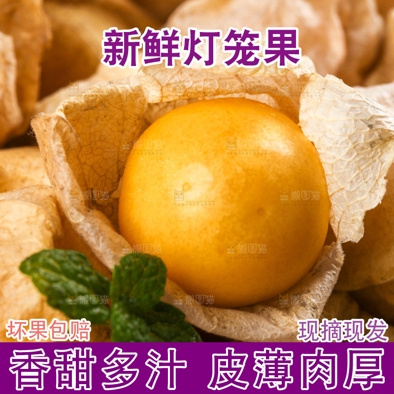 盒子里装着姑娘果