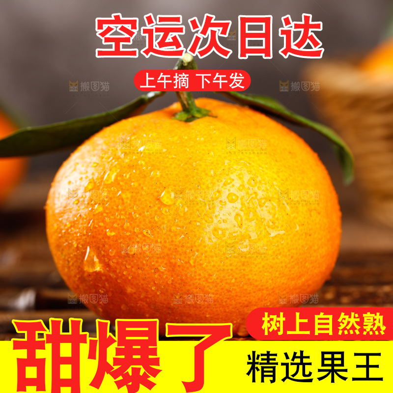 木底上摆放着蜜橘