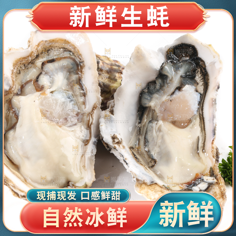 白底上剥开的牡蛎