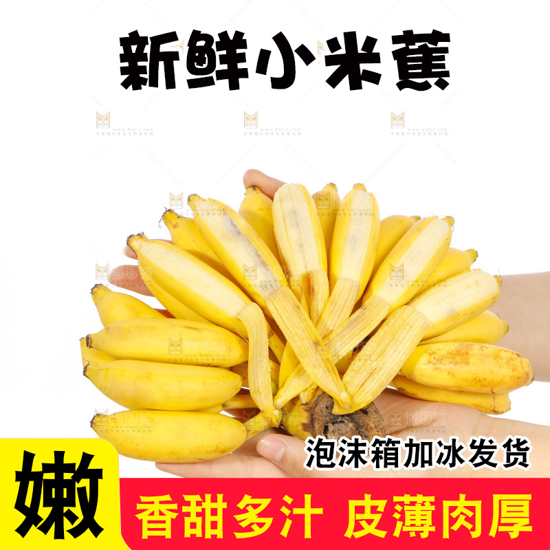手里拿着一串小米蕉