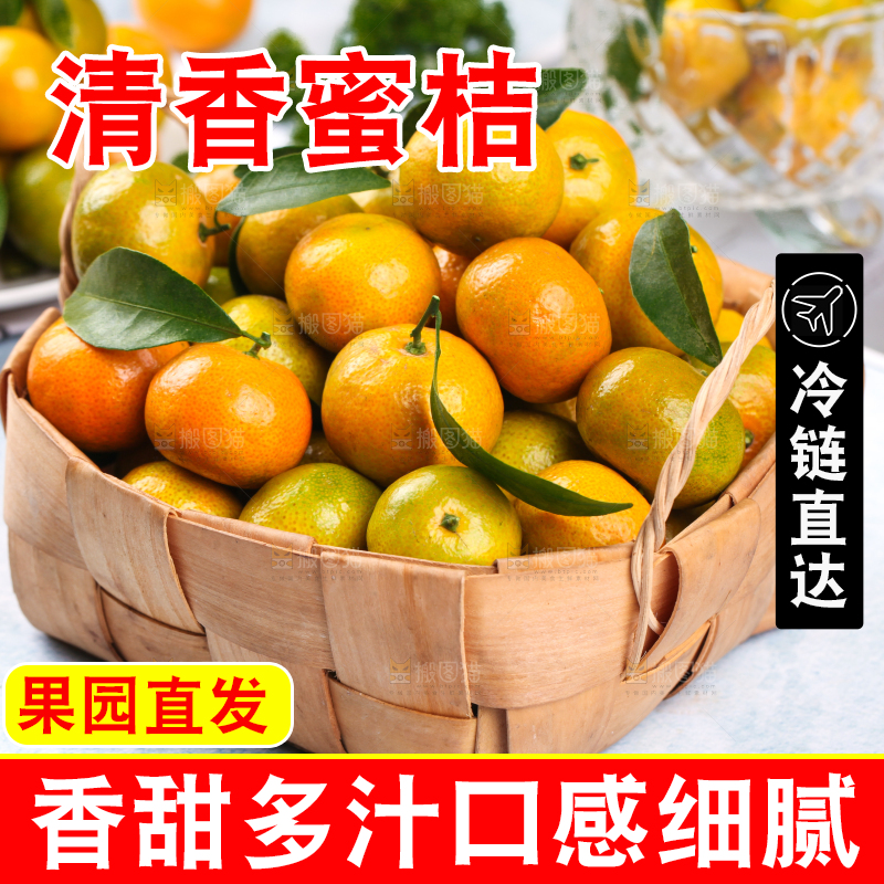 浅底上放着一筐清香蜜桔