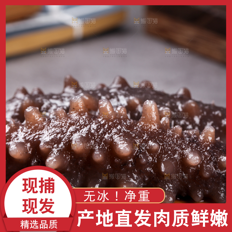 木底上的淡干海参