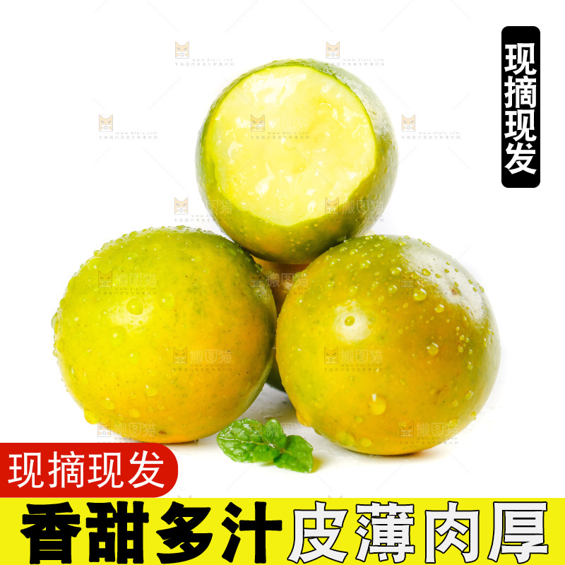 白底上放着金橘