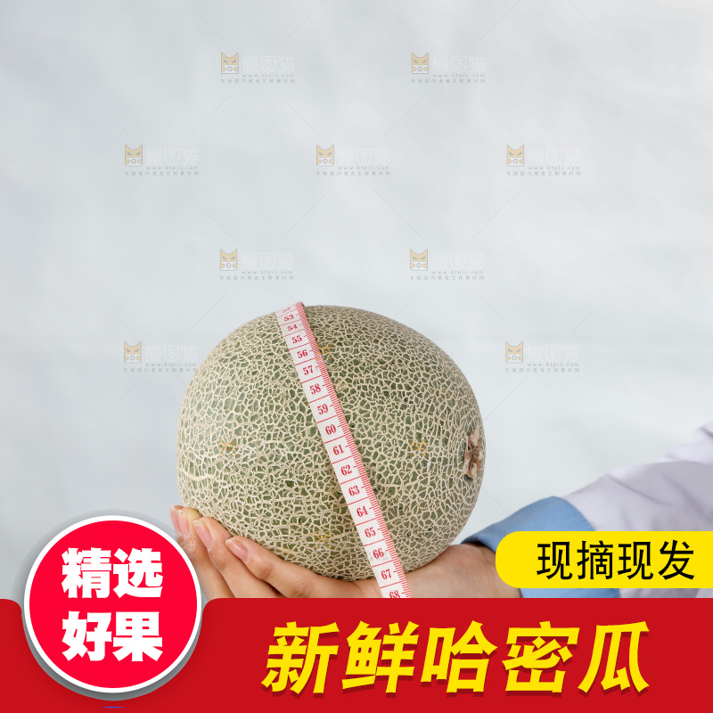 手里正在测量哈蜜瓜
