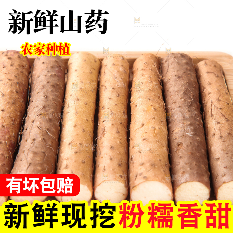 白底上放着淮山药
