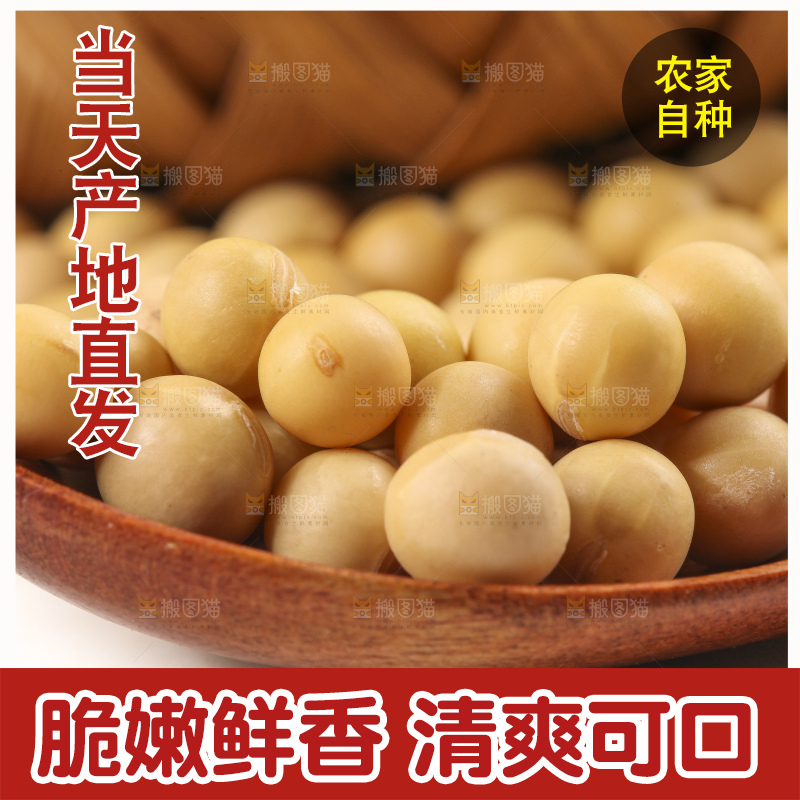 勺子里的黄大豆