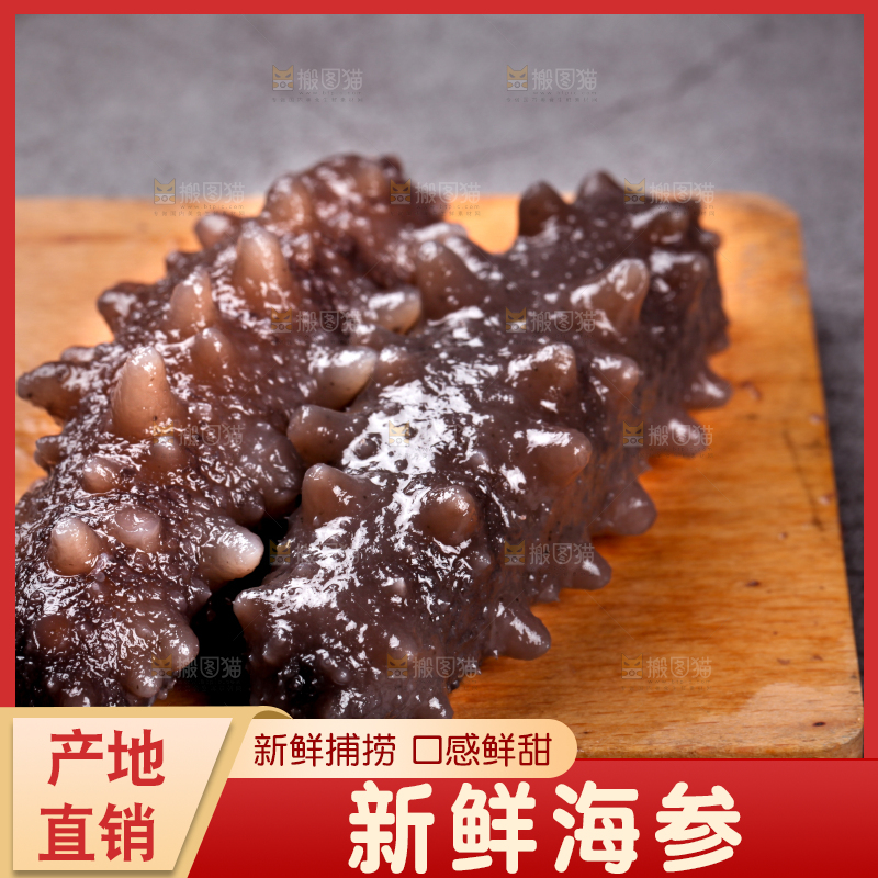 木底上的淡干海参