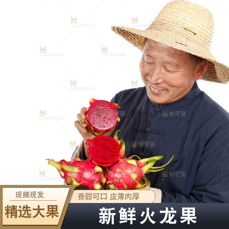 农民手里拿着红心火龙果