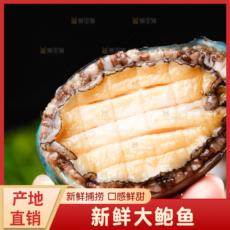 手拿鲍鱼
