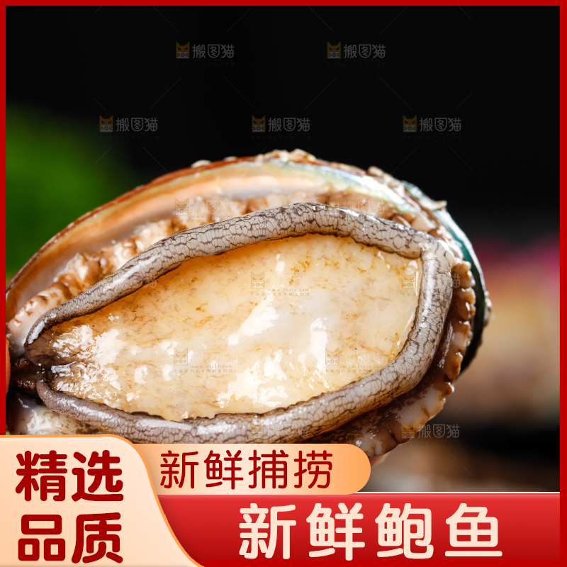 手拿鲍鱼