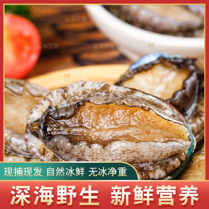 木底上放着一盘活冻大鲍鱼
