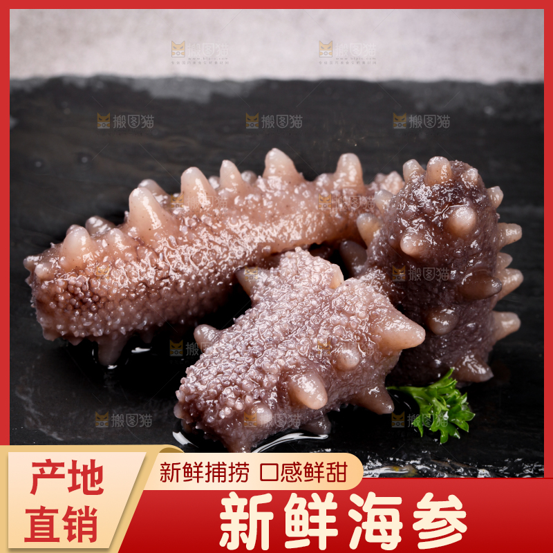 黑石板上的海参