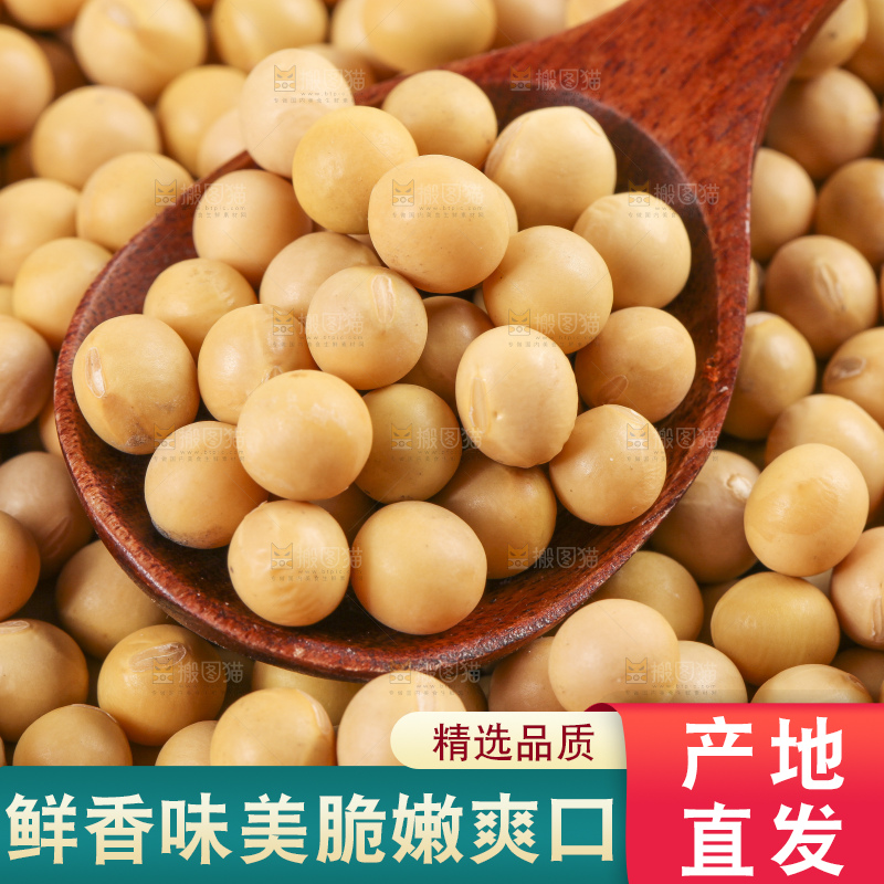 白底上放着东北黄豆