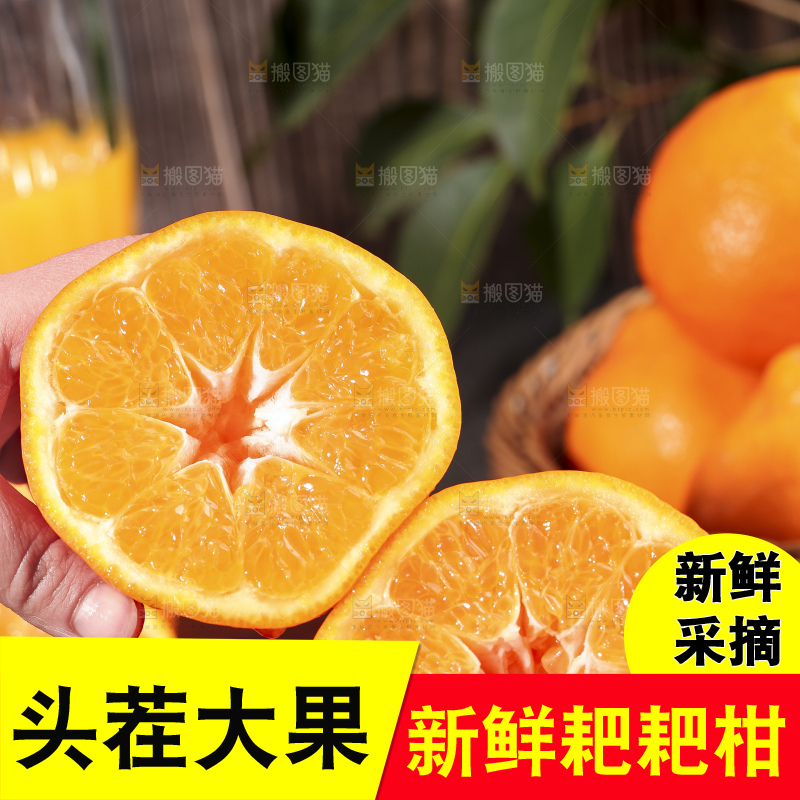手拿切开的新鲜耙耙柑