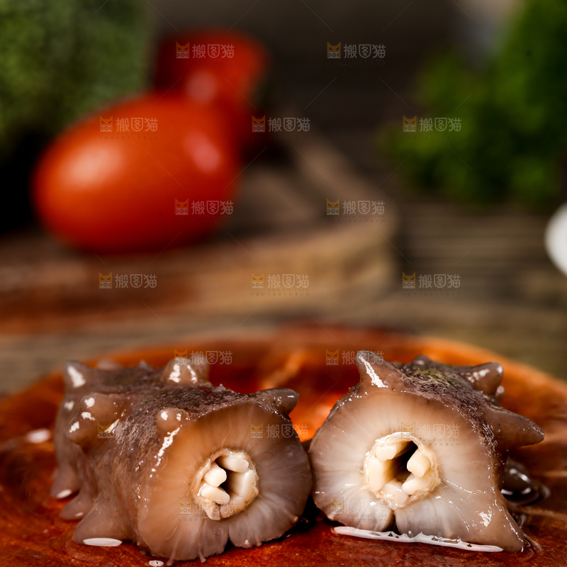 木底上的海参
