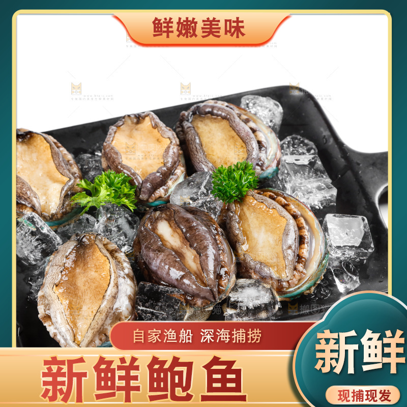 一盘鲜鲍鱼放在白底上