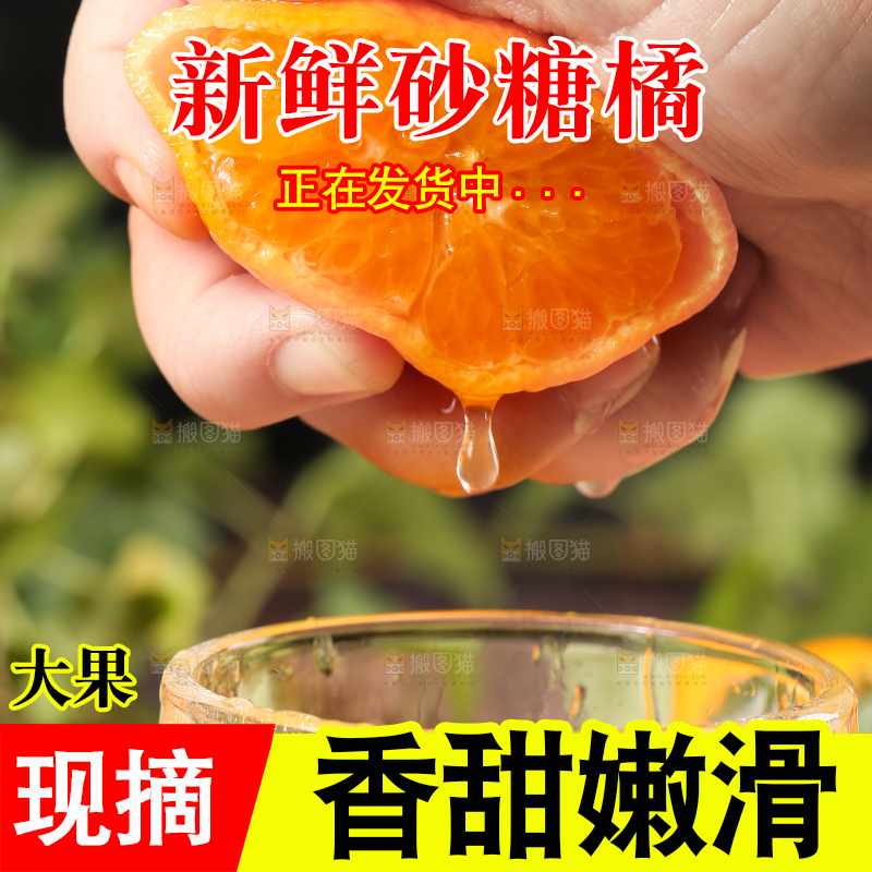 手拿砂糖橘