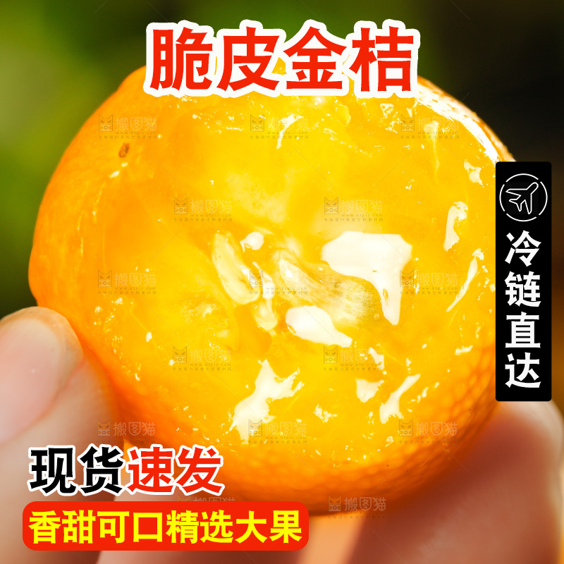 手里拿着小金桔