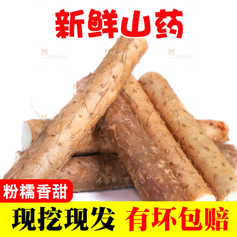 白底上摆放着山药