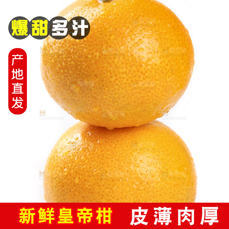 白底上的广西皇帝柑