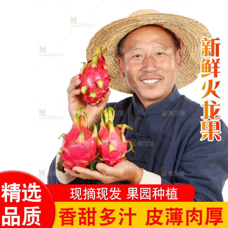 农民手里端着火龙果
