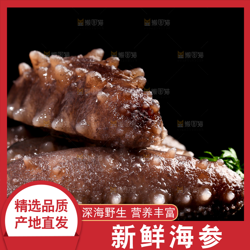 黑底上的海参