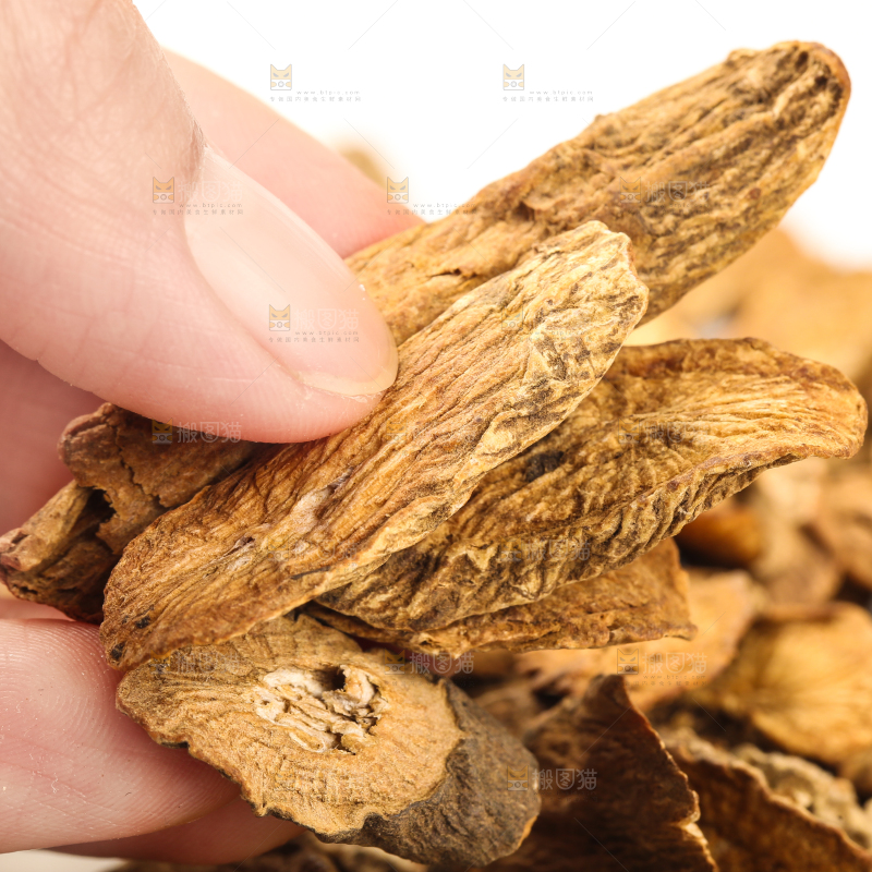 手里拿着牛蒡根