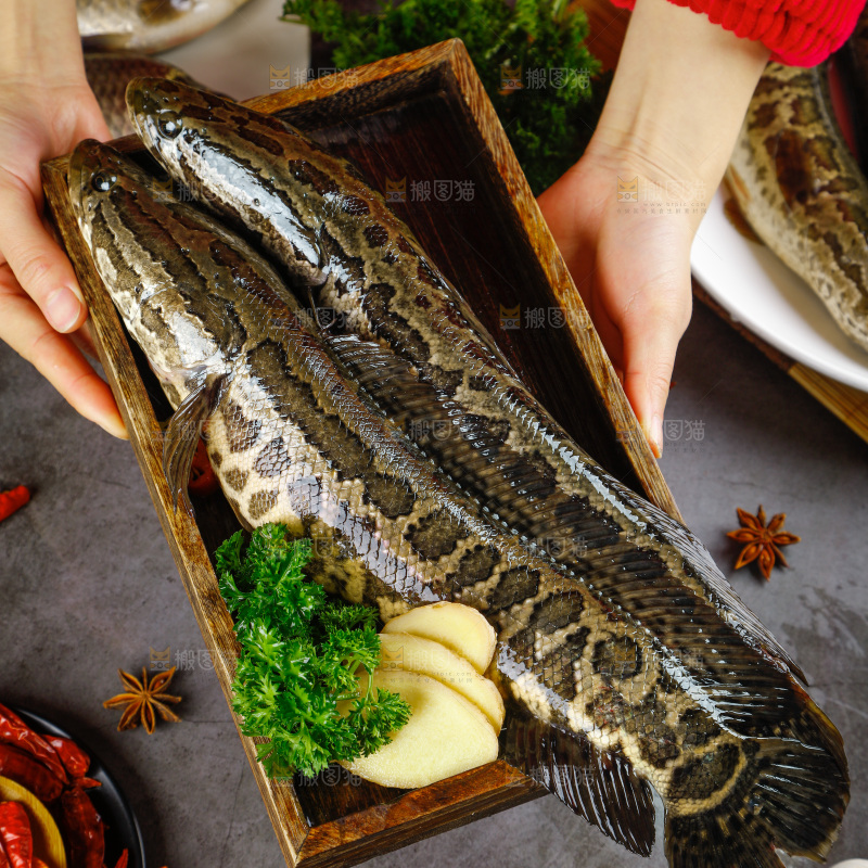 手拿一盘黑鱼