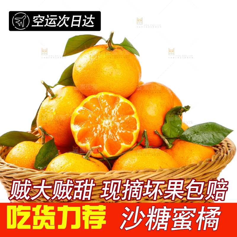 白底上摆放着蜜橘