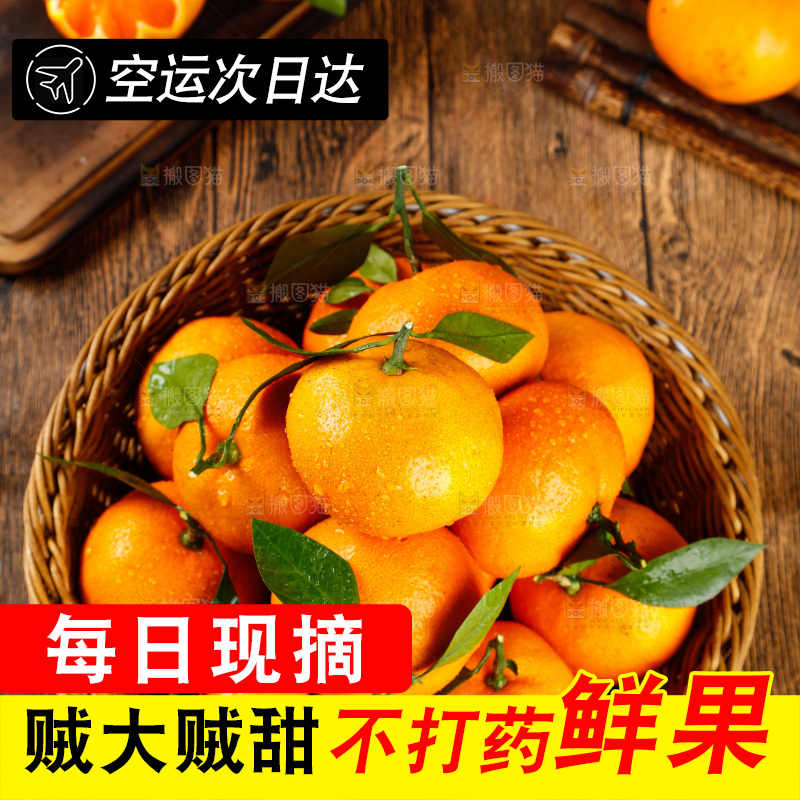 篮子里放着蜜橘