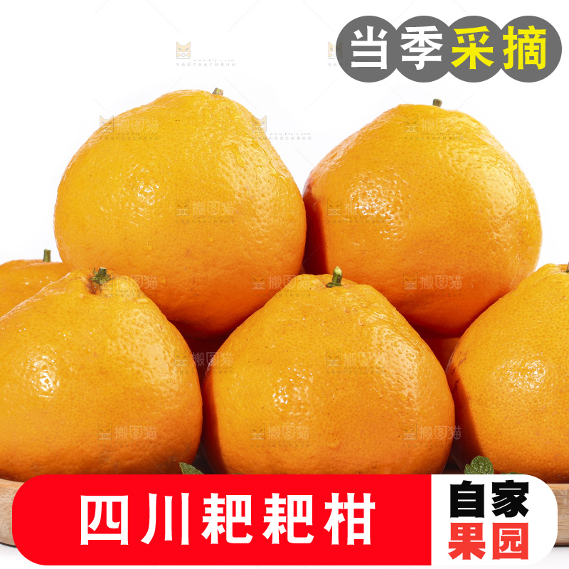 一盘新鲜的耙耙柑放在白底上