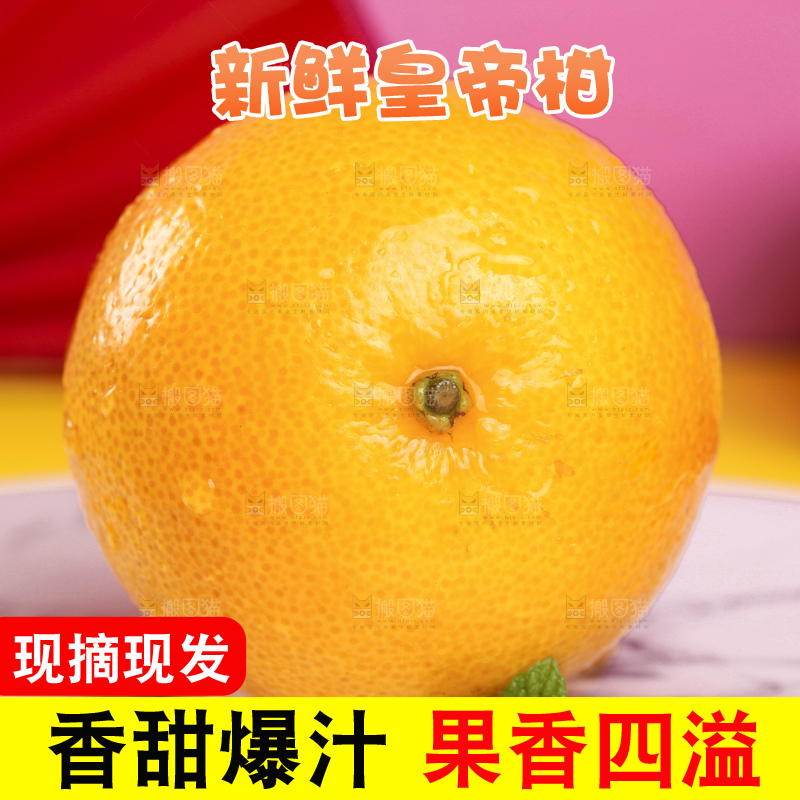 石板上的广西皇帝柑