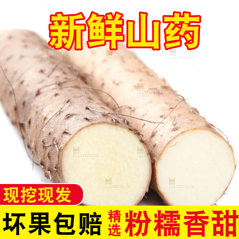 白底上摆放着山药